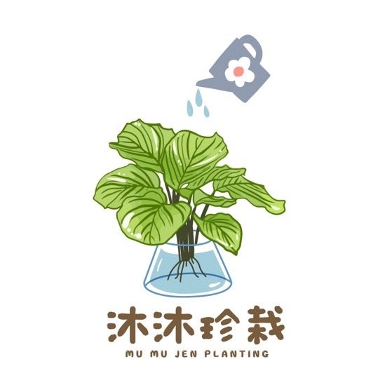 沐沐珍栽